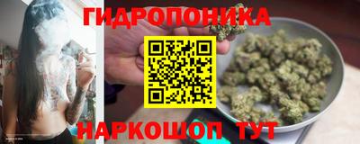 ешки Гусев