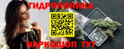 PSILOCYBIN Гусиноозёрск