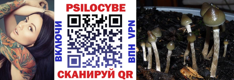 Псилоцибиновые грибы Psilocybe  наркошоп  Кропоткин 
